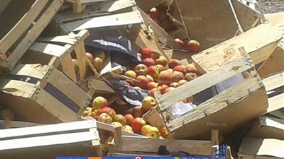 إعدام 50 طن من الأغذية الواردة غير صالحة للاستهلاك الآدمي (صور)