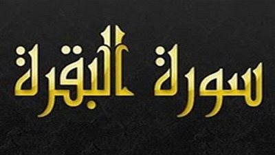 تفسير الشعراوي للآية 171 من سورة البقرة