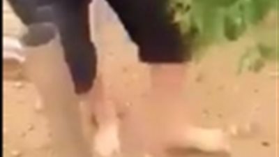 أسرع طريقة لزرع الاشجار