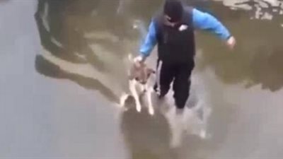 أفضل اللحظات الإنسانية مع الحيوانات