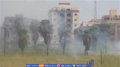 مدير الحماية المدنية بالإسماعيلية لـ