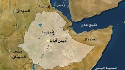 إثيوبيا توقف استيراد الأدوية من 11 مصنعًا مصريًا