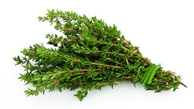  تعرف على طريقة استعمال 