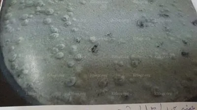 ضبط مصنعي لإنتاج الطحينة والمخلالات بدون ترخيص بالخانكة (صور )