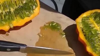 أغرب أنواع الفاكهة لم تراها من قبل