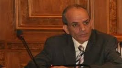 تفاصيل دخول 25 كلية جديدة في مجالات مختلفة الخدمة بالجامعات المصرية 