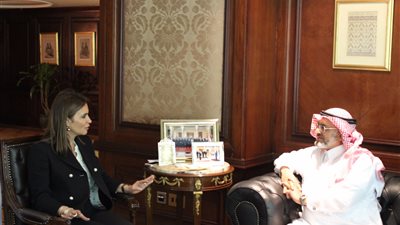 500 مليون دولار من الصندوق السعودي لتنمية شبه جزيرة سيناء 