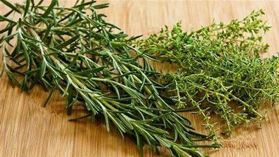  دراسة.. تؤكد ان الروزماري والزعتر مسكنات طبيعية تساعد فى مكافحة آلام السرطان  