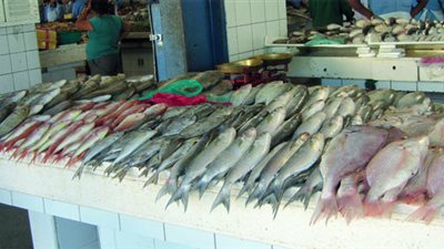 تعرف علي أسعار الأسماك بسوق العبور اليوم 