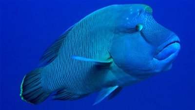 موجة غضب على 