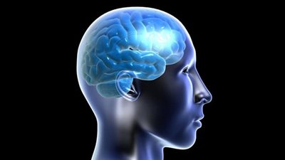  3 أطعمة تؤثر بشكل كبير على الصحة والدماغ 