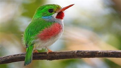 تعرف على خصائص 