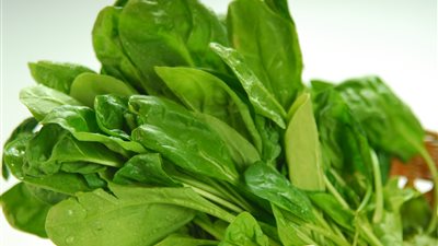 دراسة: السبانخ تساعد على فقدان الشهية للطعام  
