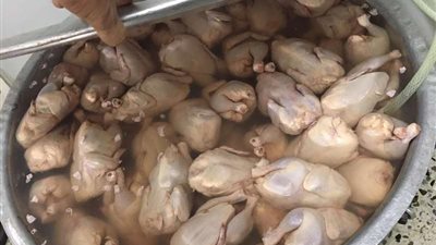 ضبط مطاعم خالفت الاشتراطات الصحية بحي النسيم بالطائف