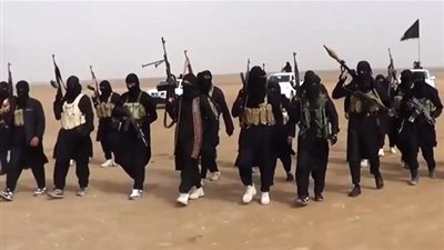 مصريون ينضمون إلى 