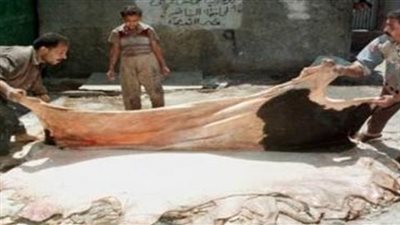 25 مليون دولار إجمالي صادارات الجلود خلال الربع الأول من 2016