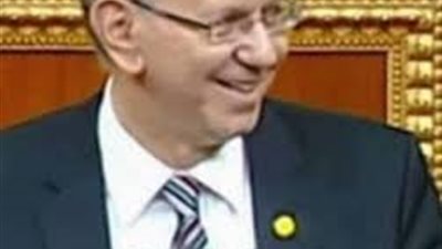 برلماني: قانون الخدمة المدنية سيطبق على 80 % من الموظفين