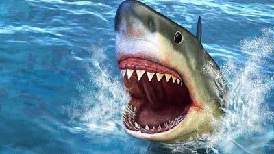 أبحاث على القروش لمعرفة طرق إعادة توليد الأسنان لدى البشر