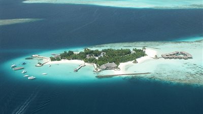 يمنع إطعام الطيور فى سان فرانسيسكو الأمريكية ، وغيرها من أغرب القوانين في العالم