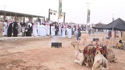 185 ألف زائر لسوق عكاظ في 5 أيام وفقًا لـ