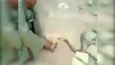  بالفيديو.. العثور على 