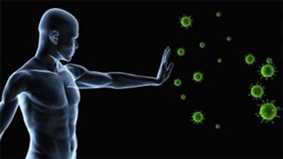 8 أطعمة تساهم في تقوية جهاز المناعة 