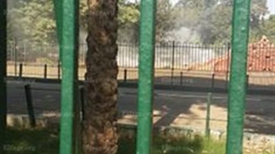 دخان حديقة حيوان الجيزة ناتج عن حرق 