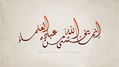 تفسير قوله تعالى : إِنَّمَا يَخْشَى اللَّهَ مِنْ عِبَادِهِ الْعُلَمَاءُ