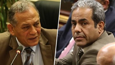 رئيس حقوق الإنسان بالبرلمان لوكيل اللجنة: 