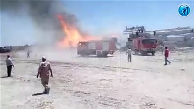 ننشر اللحظات الأولى لإندلاع حريق مخزن الأخشاب بالإسكندرية (فيديو)