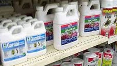 ضبط مبيدات زراعية منتهية الصلاحية في بني سويف