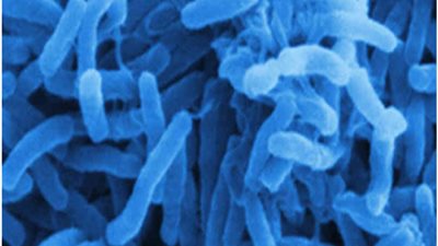 كوريا الجنوبية تكتشف أول حالة إصابة بمرض الكوليرا منذ 15 عاماً