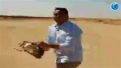 نشطاء يتداولون فيديو حمير مذبوحة بطريق السويس و