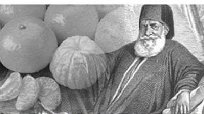 اليوسفي من طوسون باشا إلى يوسف أفندي