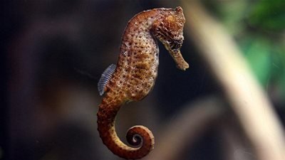 تعرف على معلومات غريبة عن 