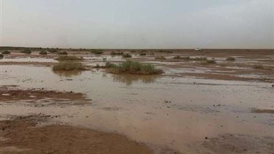  أمطار خفيفة على أجزاء متفرقة بمنطقة تبوك