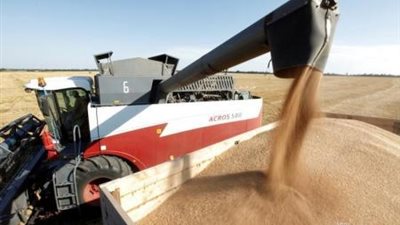 مصر تشتري 180 ألف طن قمح  روسي 