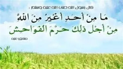 تفسير حديث (لا أحد أغيَر من الله عز وجل)