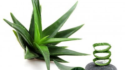 أفضل وصفة طبيعية للوقاية من مرض السرطان