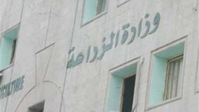 ننشر تفاصيل قرار 