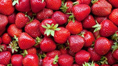 أمريكا: ارتفاع عدد المصابين بالتهاب الكبد الوبائي إلى 35  بسبب الفراولة المصرية