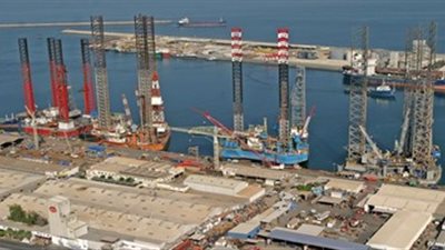 وصول 7340 رأس جمال حية لميناء الادبية خلال شهرين