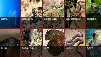 اخطر 10 حيوانات سامة في العالم