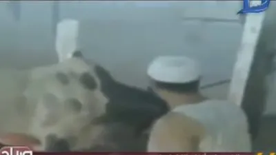 منة فاروق تعرض فيديو لطريقة ذبح تخالف الشريعة الإسلامية بمصر    