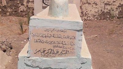 نجل المشير عبد الحكيم عامر يكشف أسباب زيارة الوفد العسكري لقبر والده