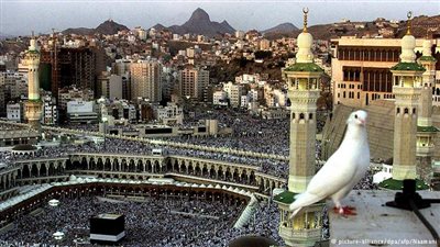 تعرف على كيفية أداء مناسك الحج في 6 صور 