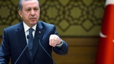 أنقرة: أردوغان يخطط للاجتماع مع ميركل خلال قمة العشرين