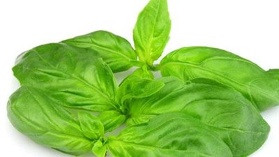 اكتشفي الفوائد المذهلة لـ 