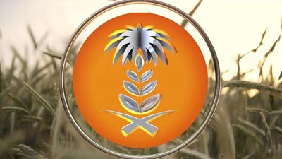 2.6 مليون طن إنتاج 