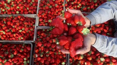 ارتفاع حالات الإصابة بسبب 